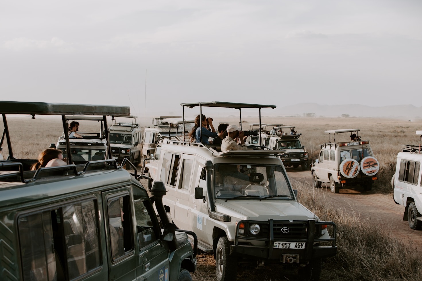 Top Five Safari Destinations For Wildlife Enthusiasts