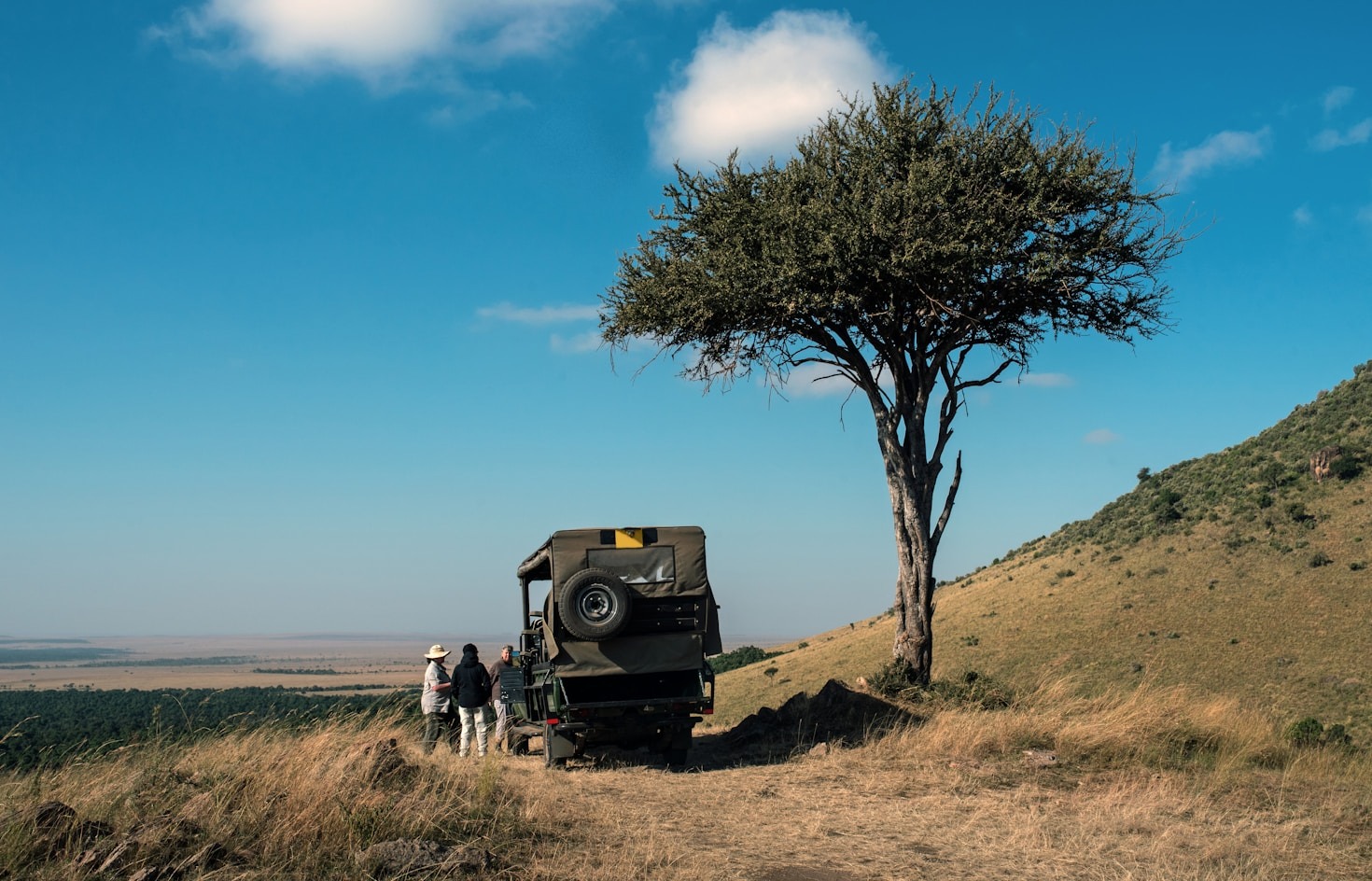 Sustainable Practices For Responsible Wildlife Travel